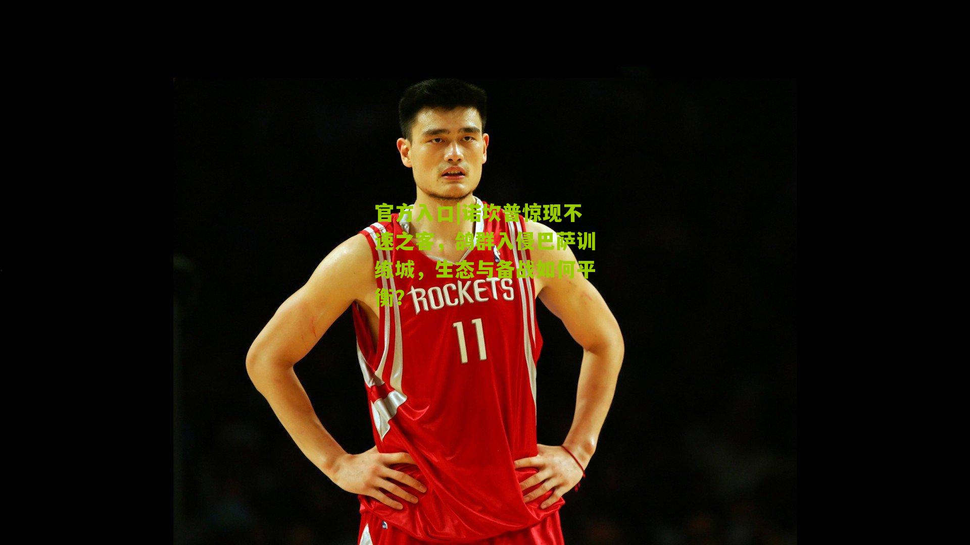 官方入口|诺坎普惊现不速之客，鸽群入侵巴萨训练城，生态与备战如何平衡？