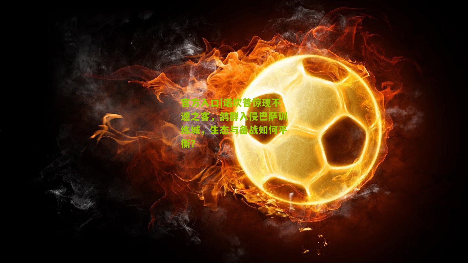 诺坎普惊现不速之客，鸽群入侵巴萨训练城，生态与备战如何平衡？