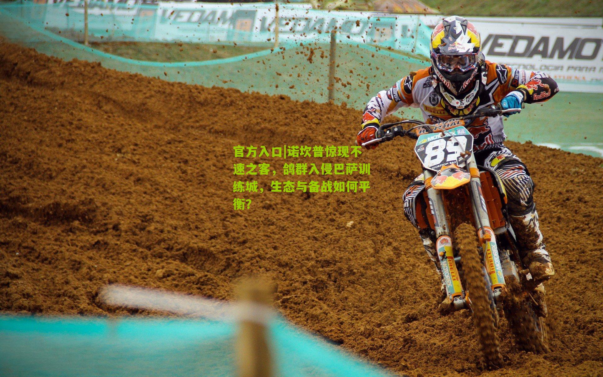 诺坎普惊现不速之客，鸽群入侵巴萨训练城，生态与备战如何平衡？