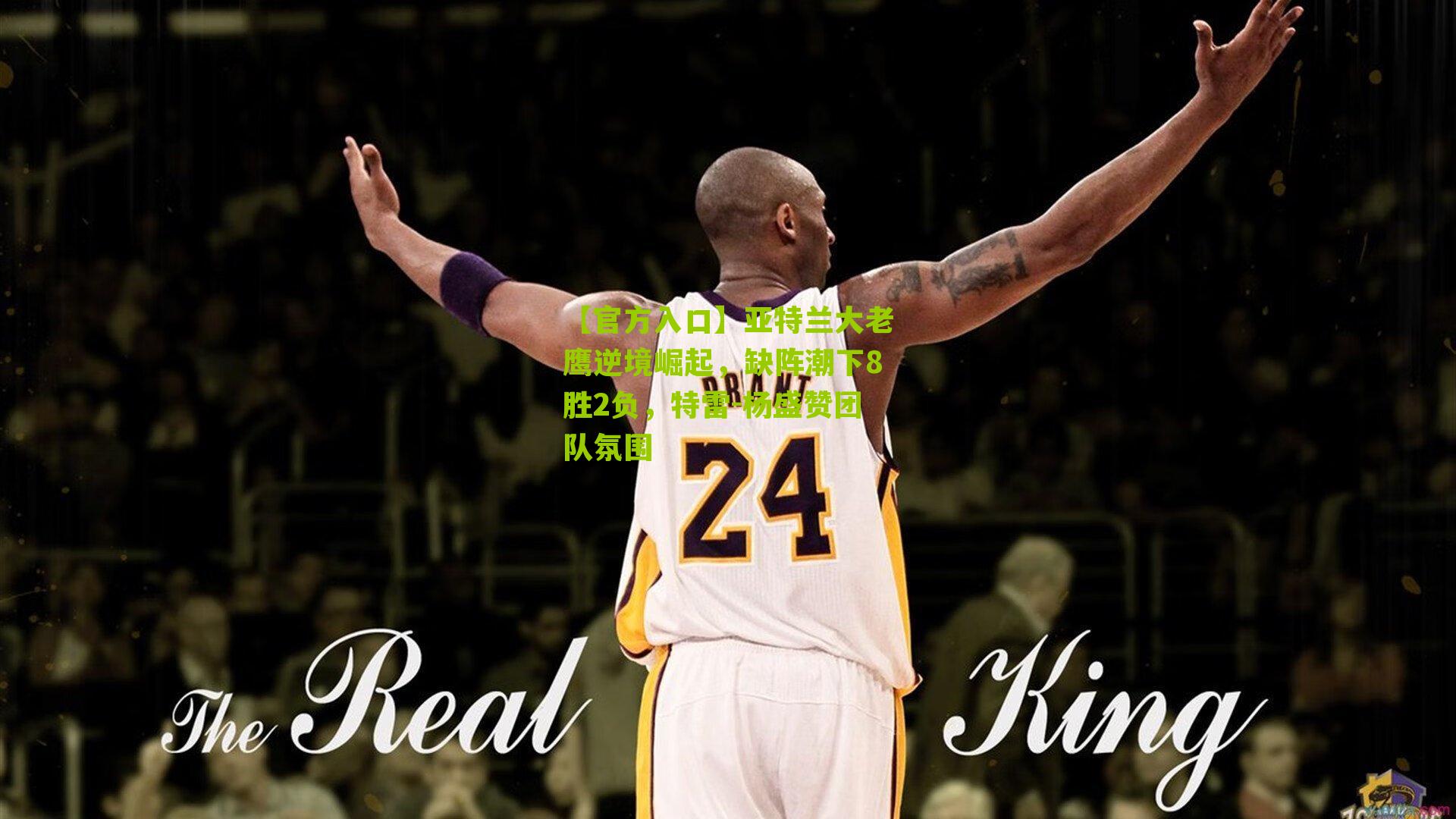 【官方入口】亚特兰大老鹰逆境崛起，缺阵潮下8胜2负，特雷-杨盛赞团队氛围