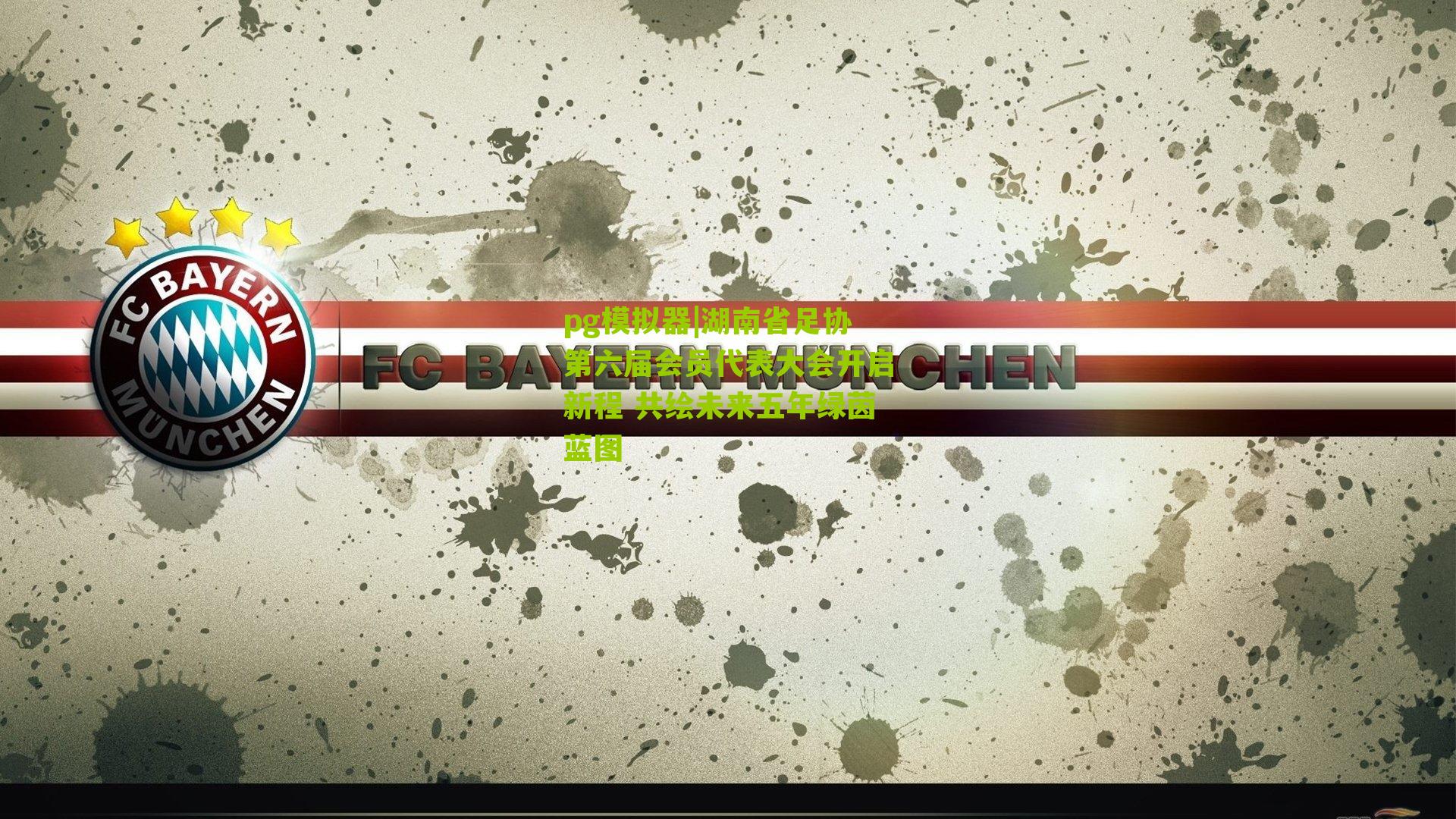 湖南省足协第六届会员代表大会开启新程 共绘未来五年绿茵蓝图